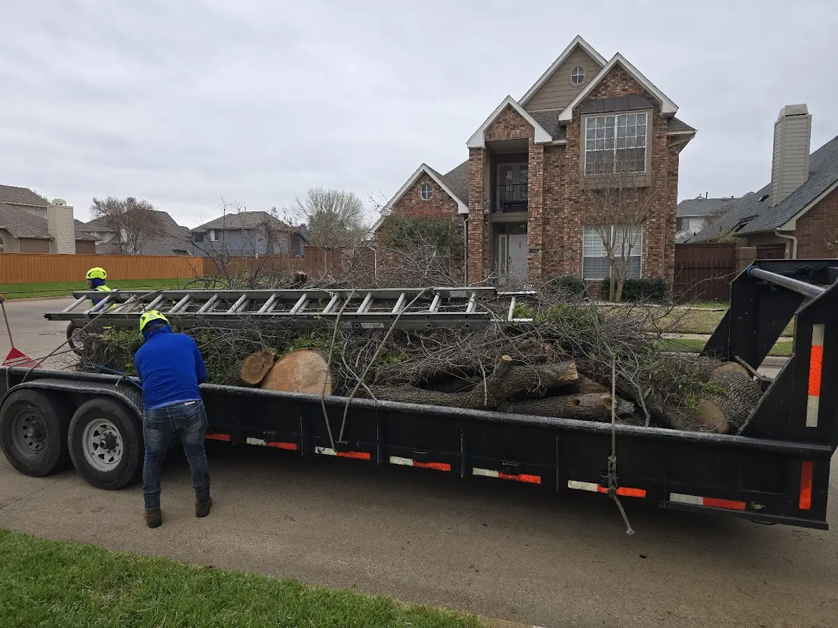 Expert Tree Fertilization with proper safety equipment in Berwyn